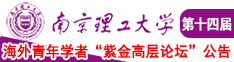 大鸡把插入美女视频免费播放器南京理工大学第十四届海外青年学者紫金论坛诚邀海内外英才！